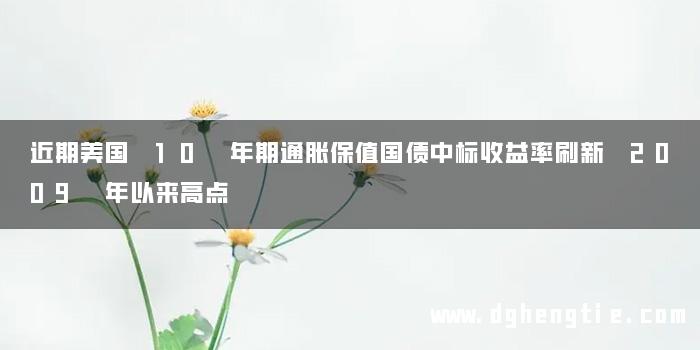 近期美国 10 年期通胀保值国债中标收益率刷新 2009 年以来高点